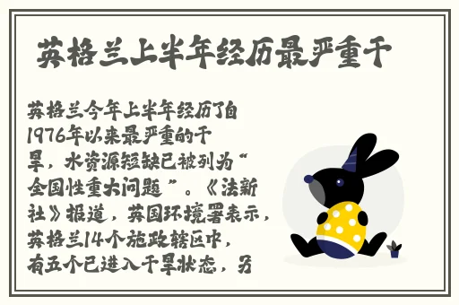 小猪视频在线观看下载免费